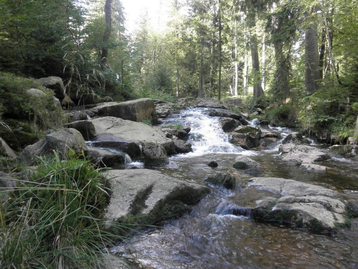 Gaestehaus Mea Vota Braunlage Esterno foto